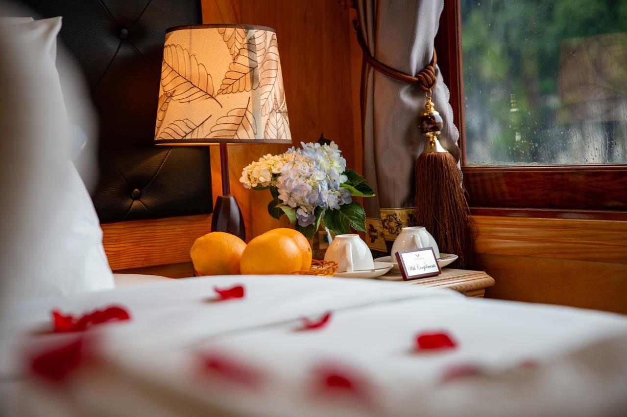 Venezia Cruises 4*