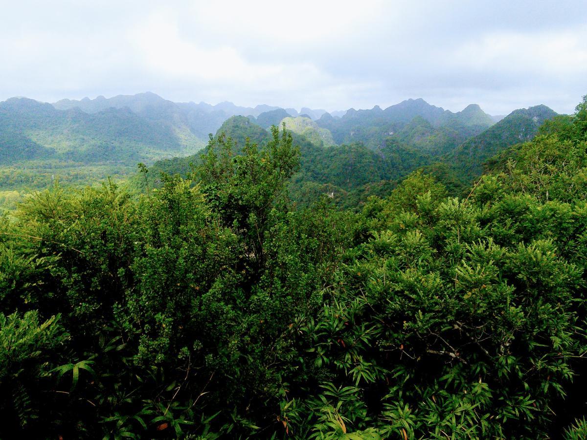 Nam Phương Dong Khe Sau