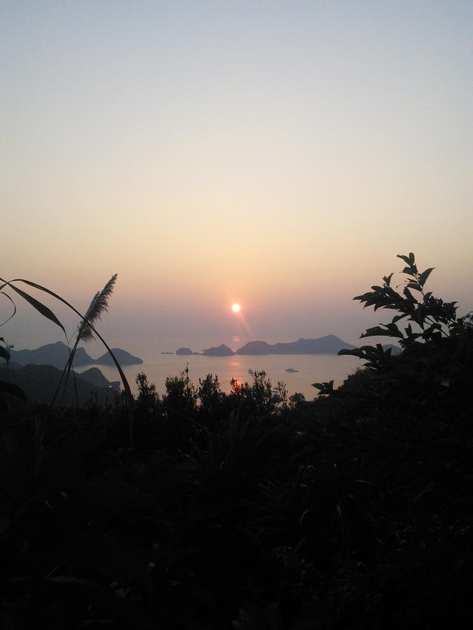 Nam Phương *