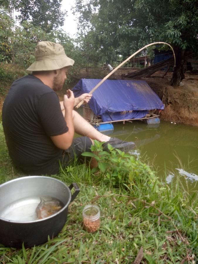 Rice Field Lodge