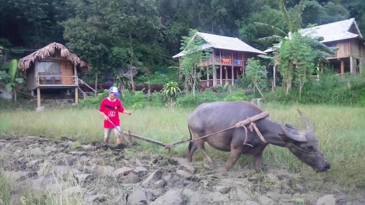 Little Mai Châu
