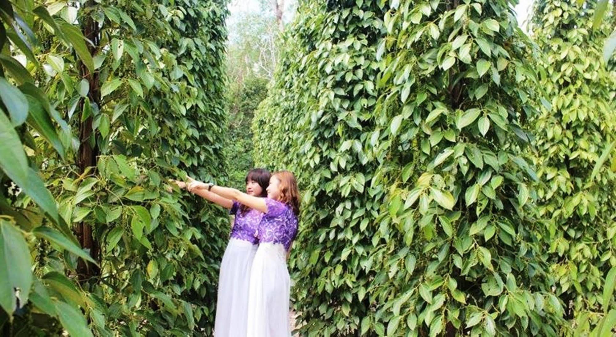 Pepper Farm Phu Quoc Guest house *