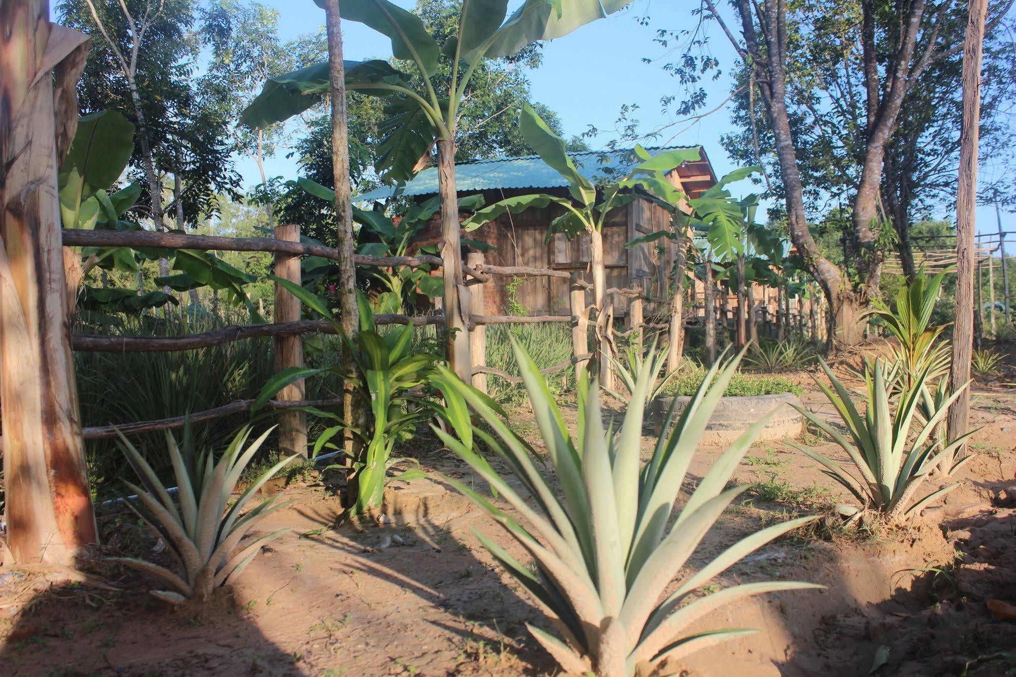 Guest house Pepper Farm Phu Quoc *