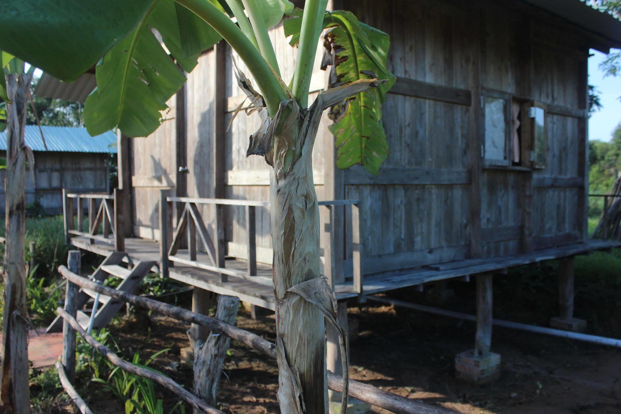 Pepper Farm Phu Quoc Guest house *