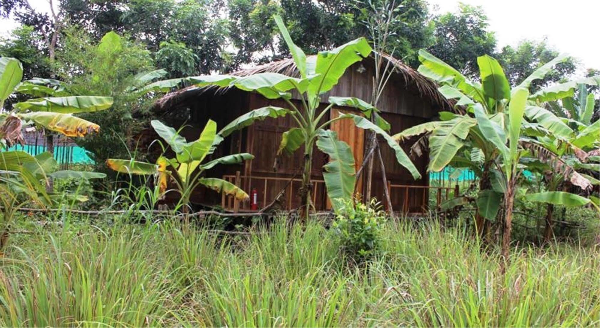 Pepper Farm Phu Quoc Guest house *