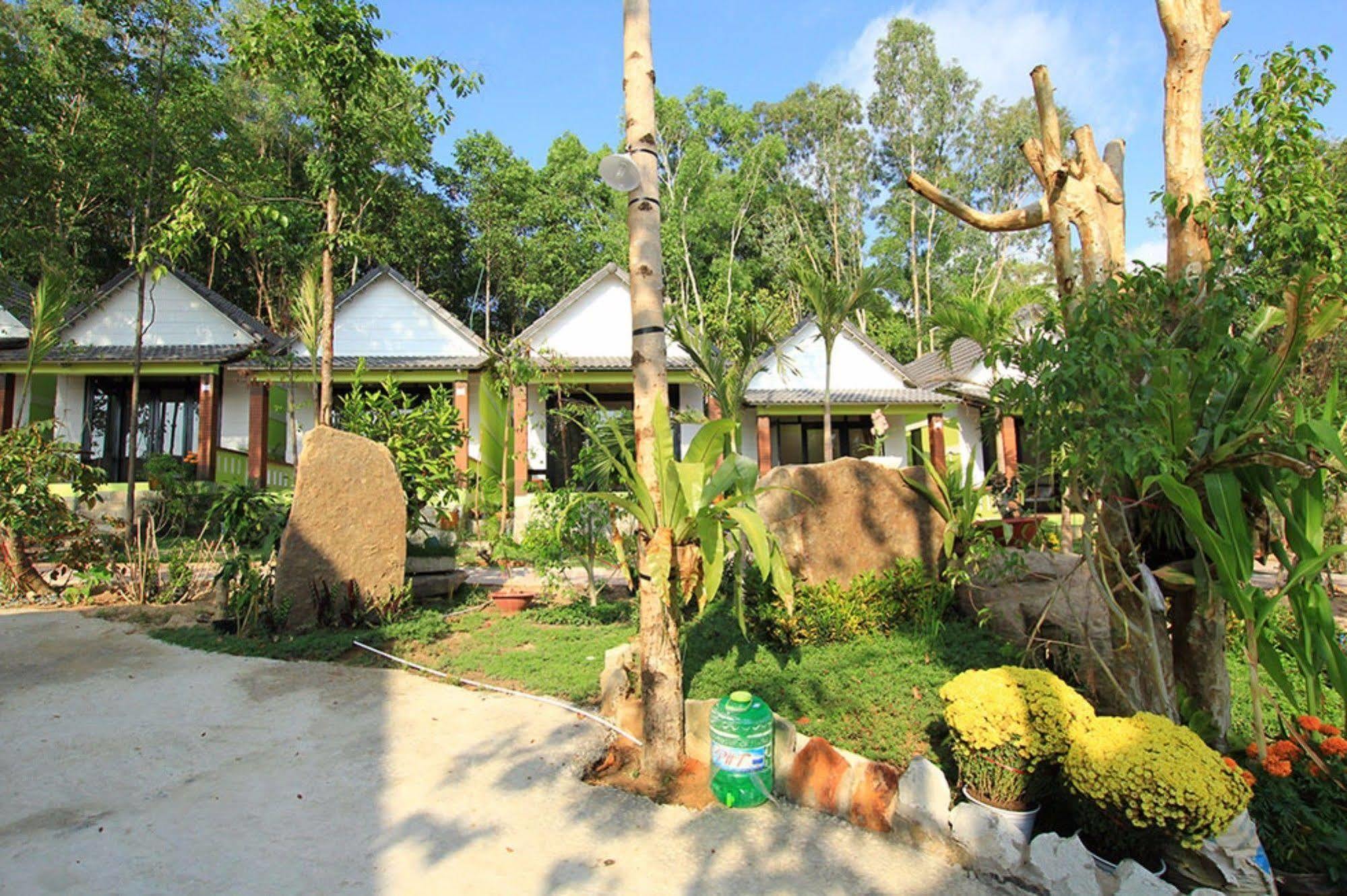 Mai Phuong Binh