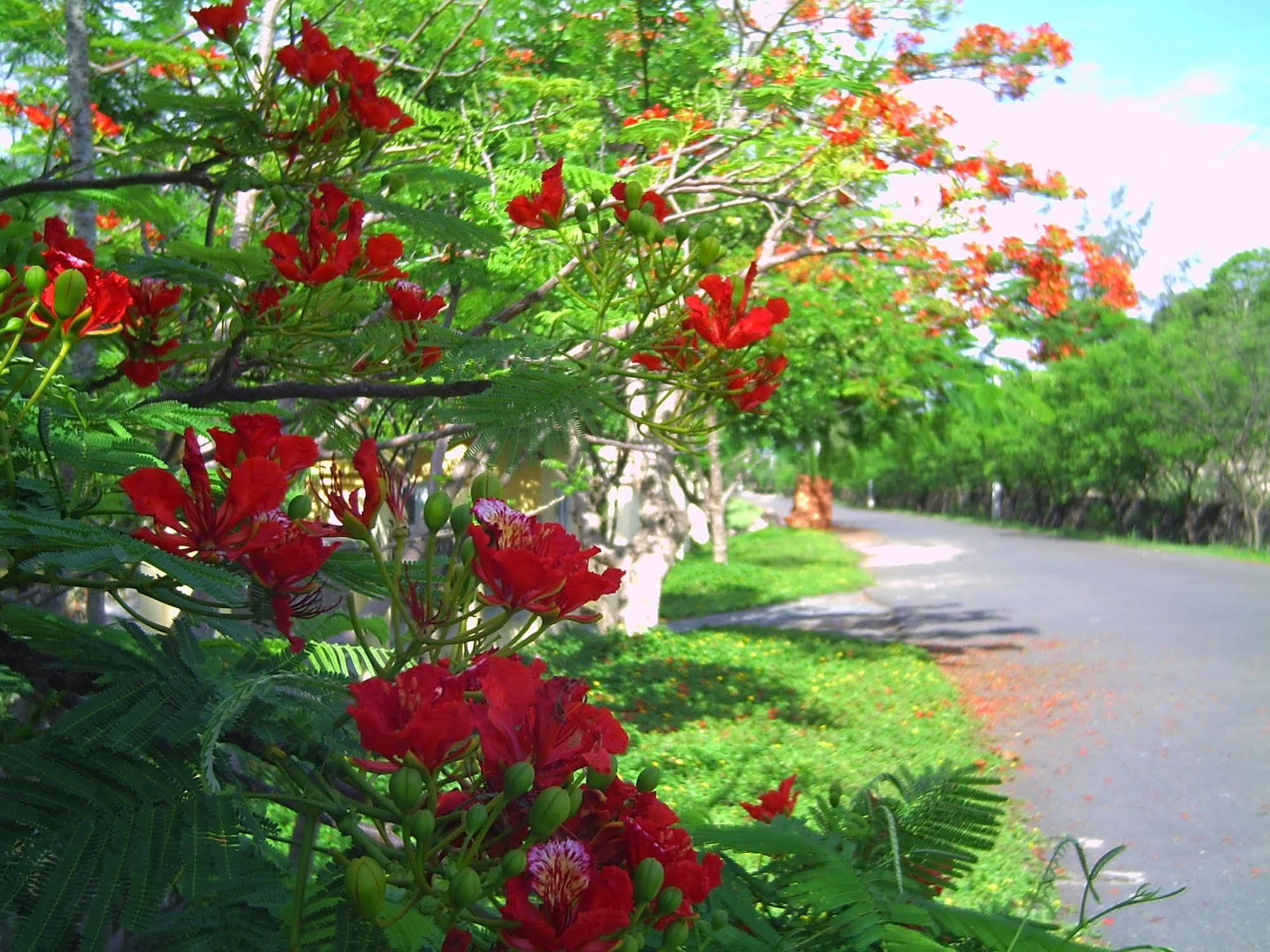 River Ray Estates Resort 3*