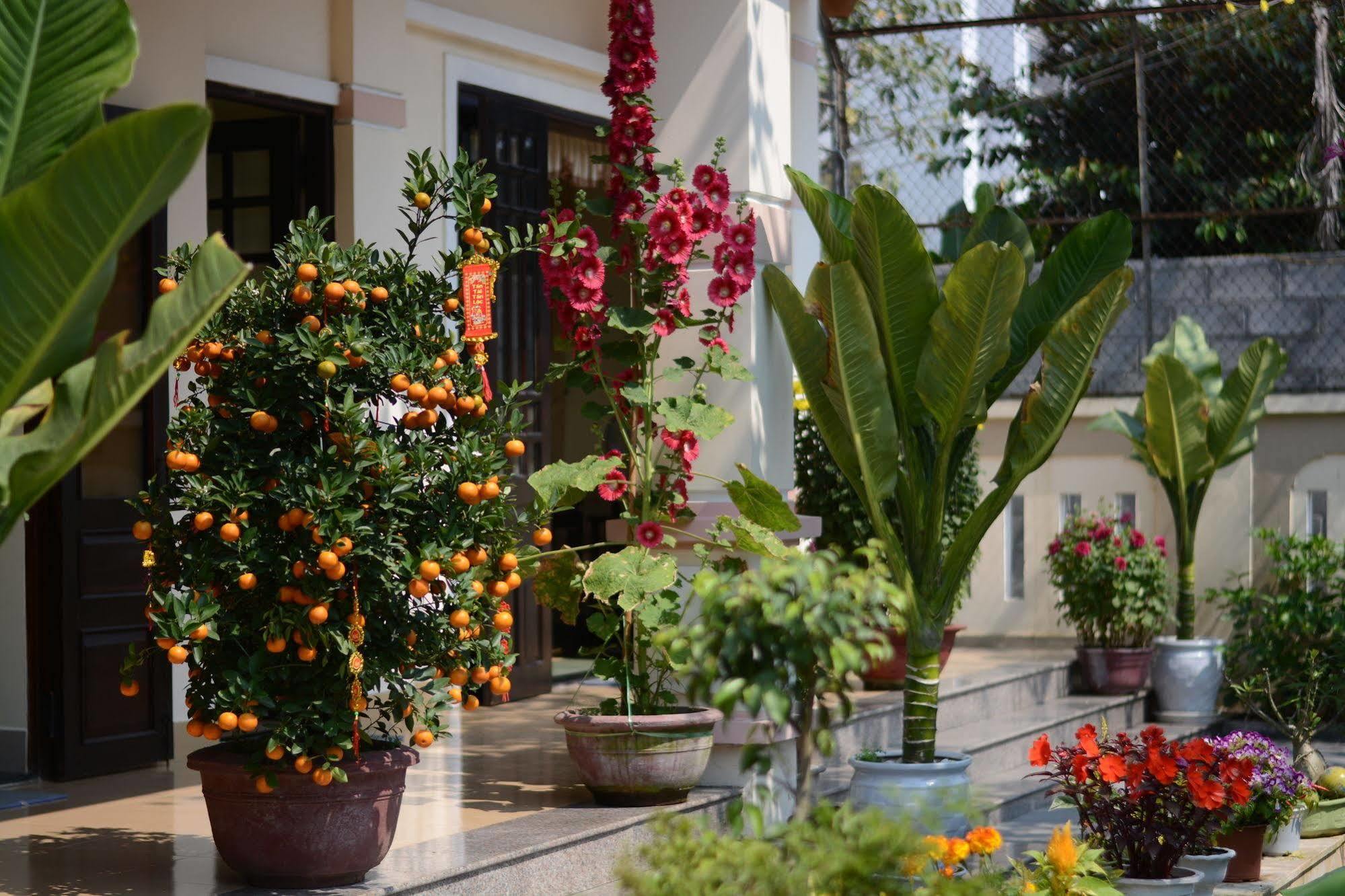 Thuyen Homestay
