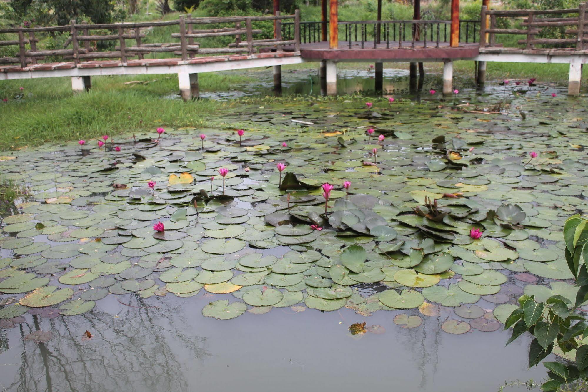 Doi Su 3* Ham Thuan Nam