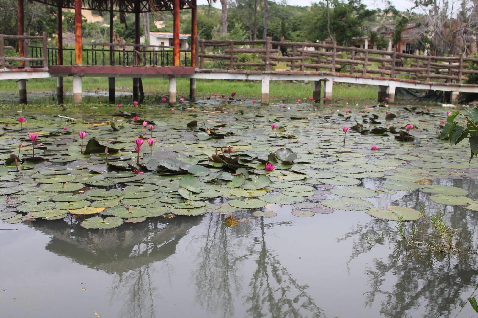 Resort Doi Su Ham Thuan Nam