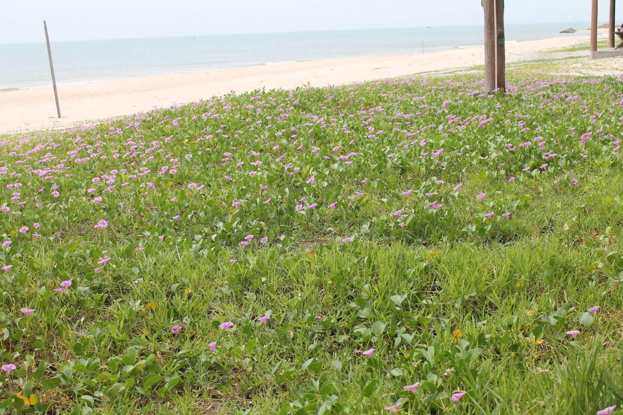 Resort Doi Su Ham Thuan Nam