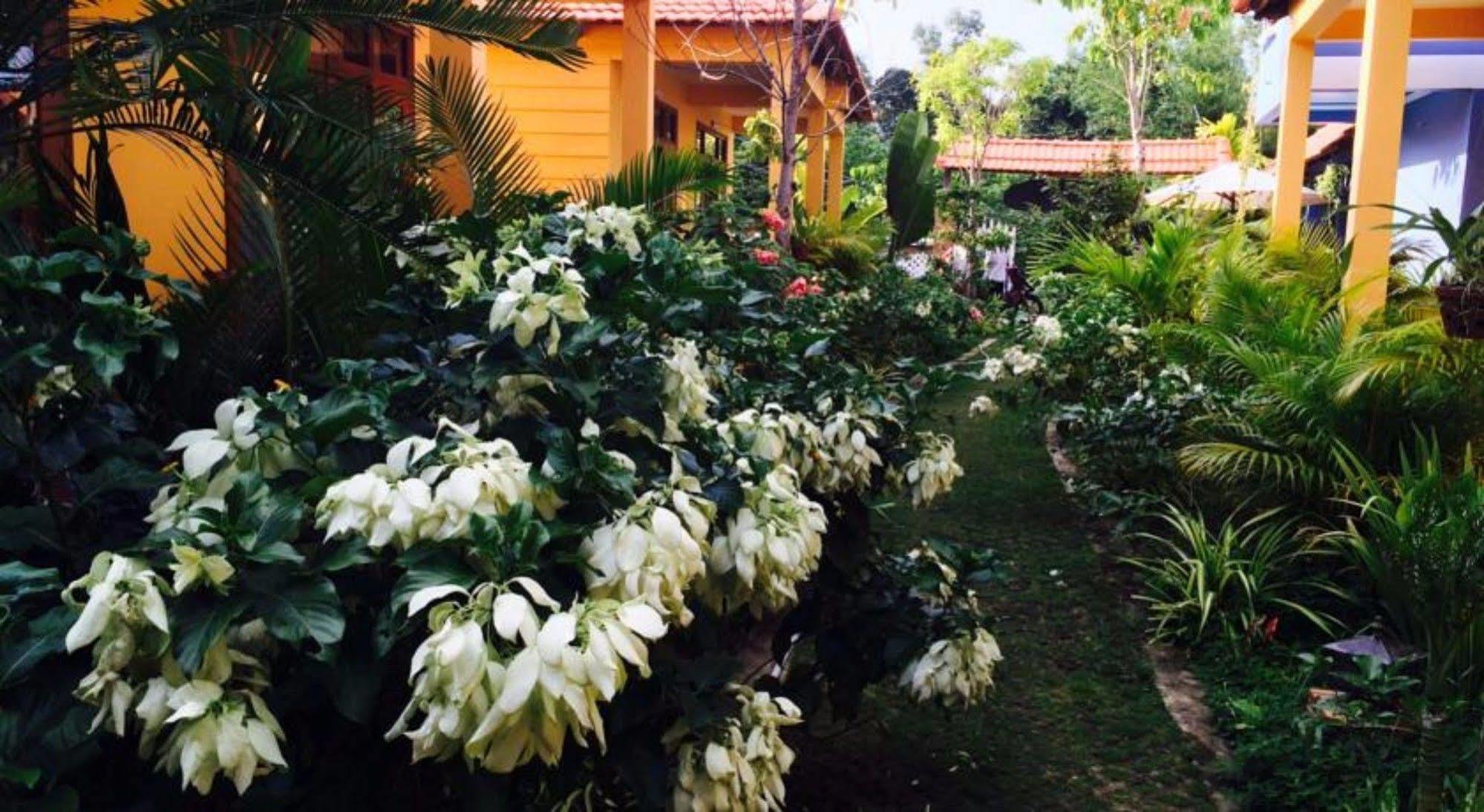 Aroma Spa & Bungalows Hotel