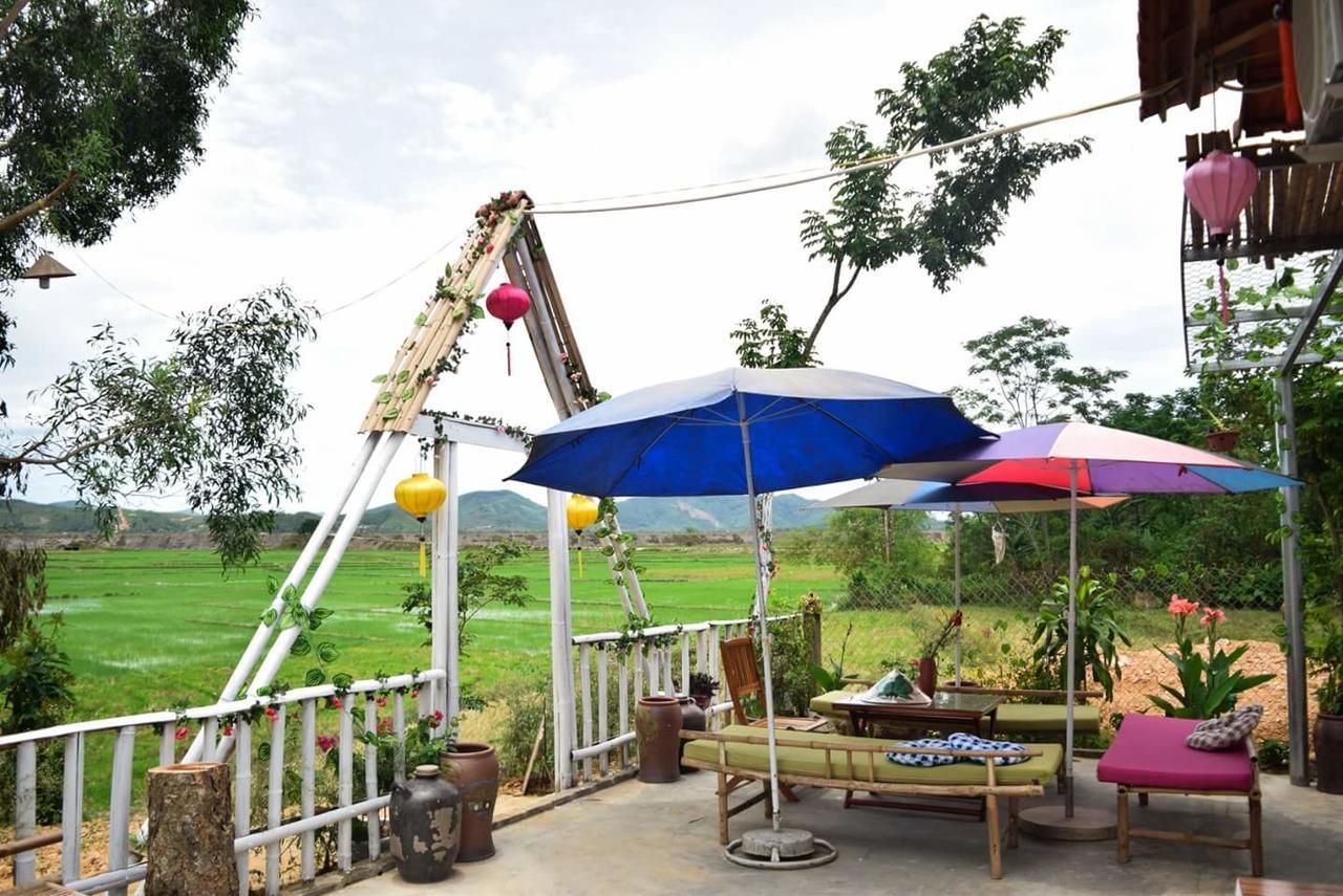 Lodge Rice Field *