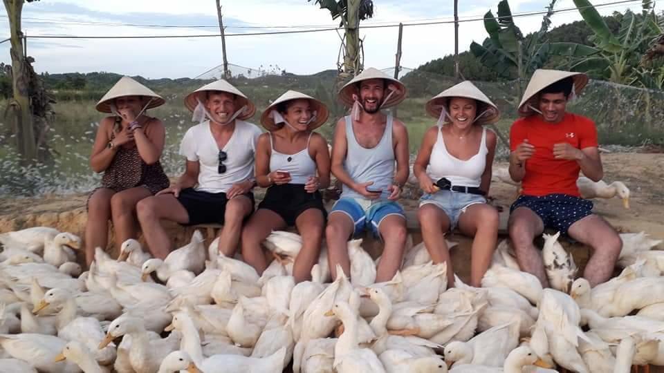 Lodge Rice Field Phong Nha