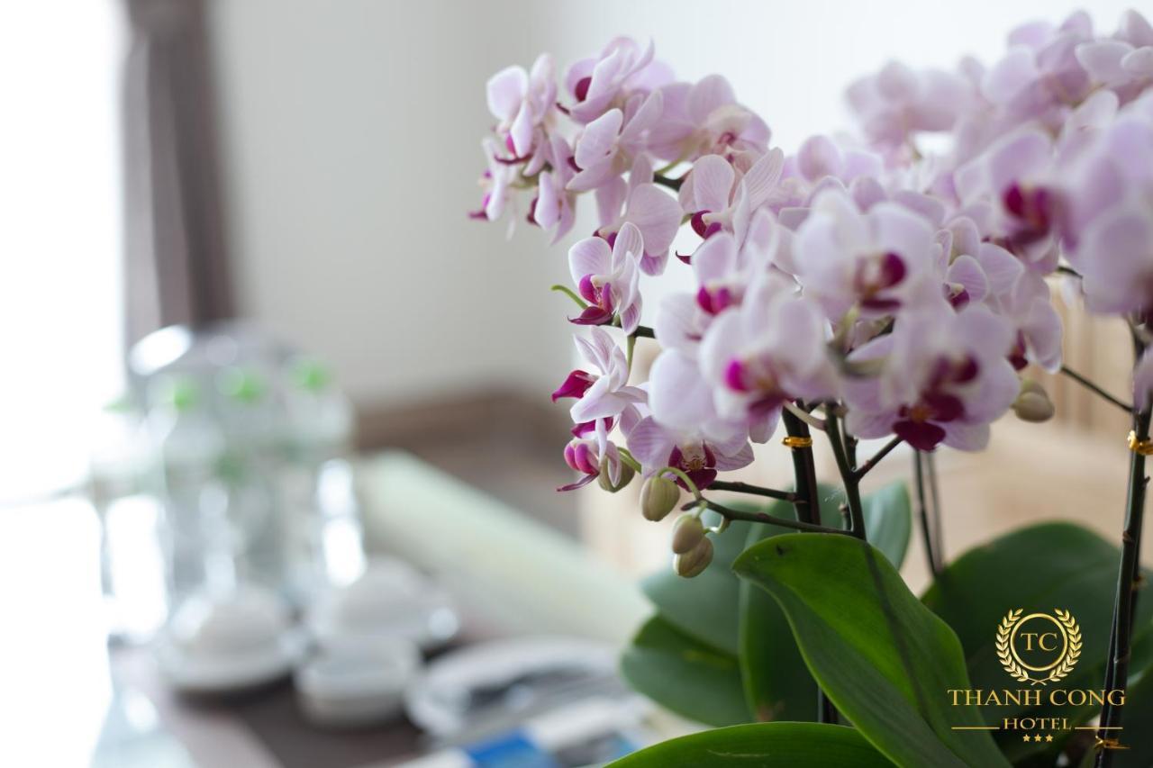 Cat Ba Thanh Cong Hotel