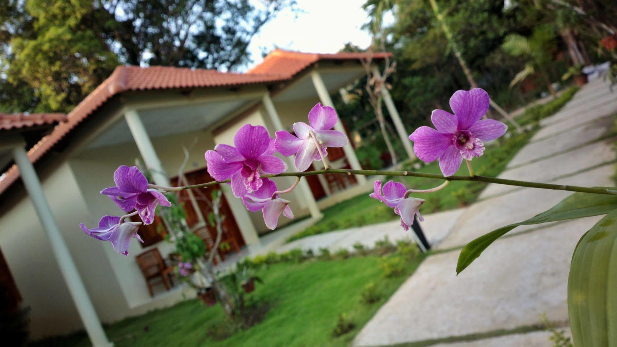Highland Phu Quoc