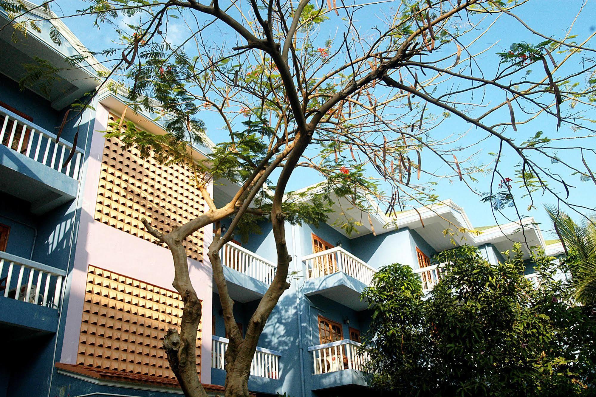 Palmira & Resort 3*