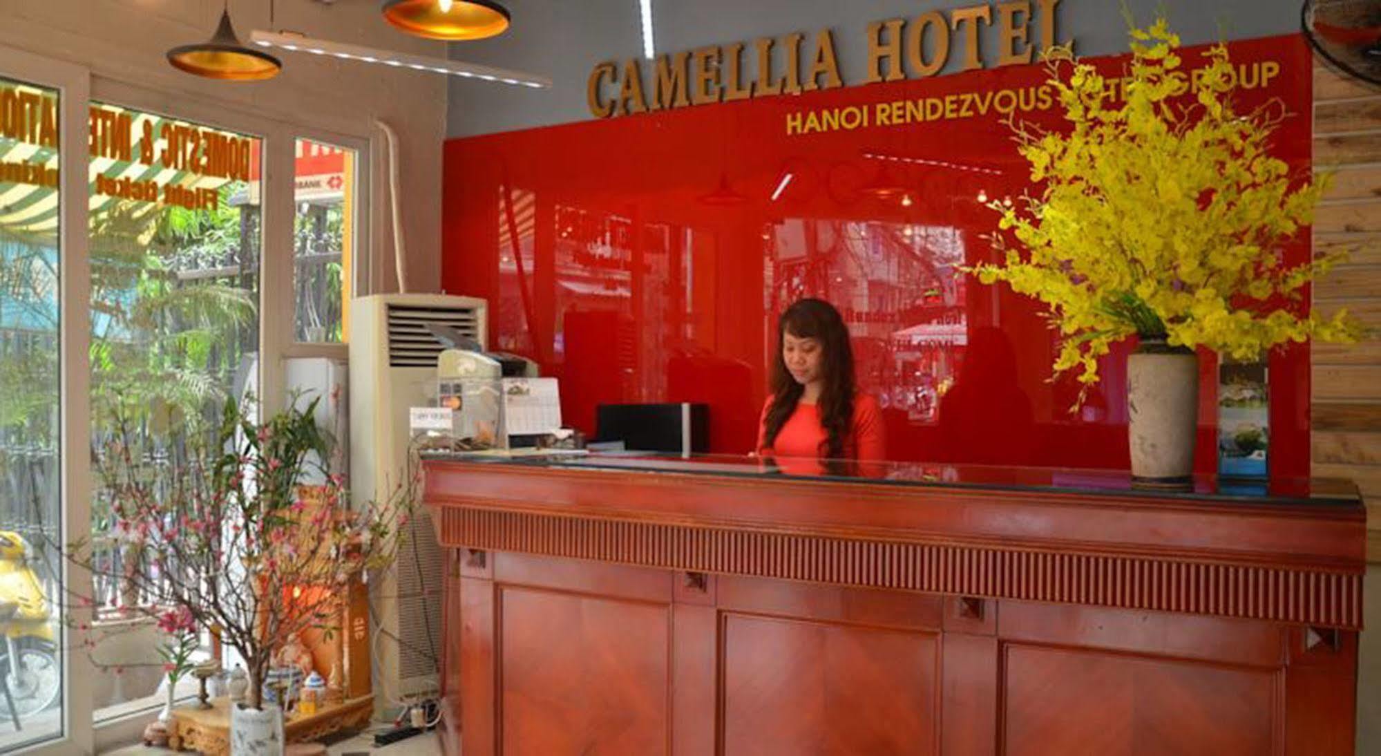 Camellia 4 Hanoi