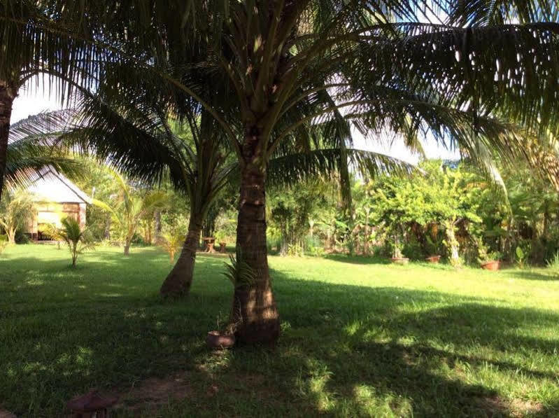 Dưỡng Mai 2*