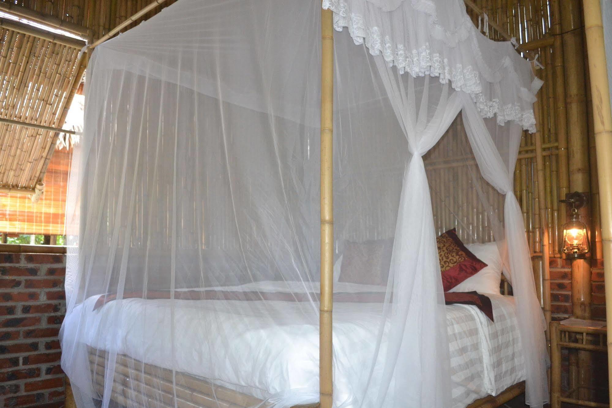 Hotel Hoalu Eco 2*