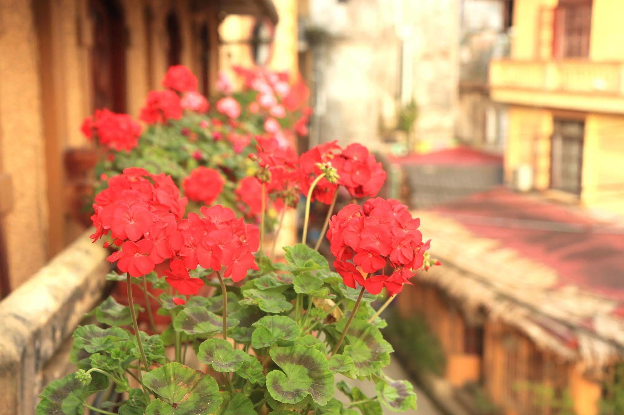 Chau Long Khách sạn 4*