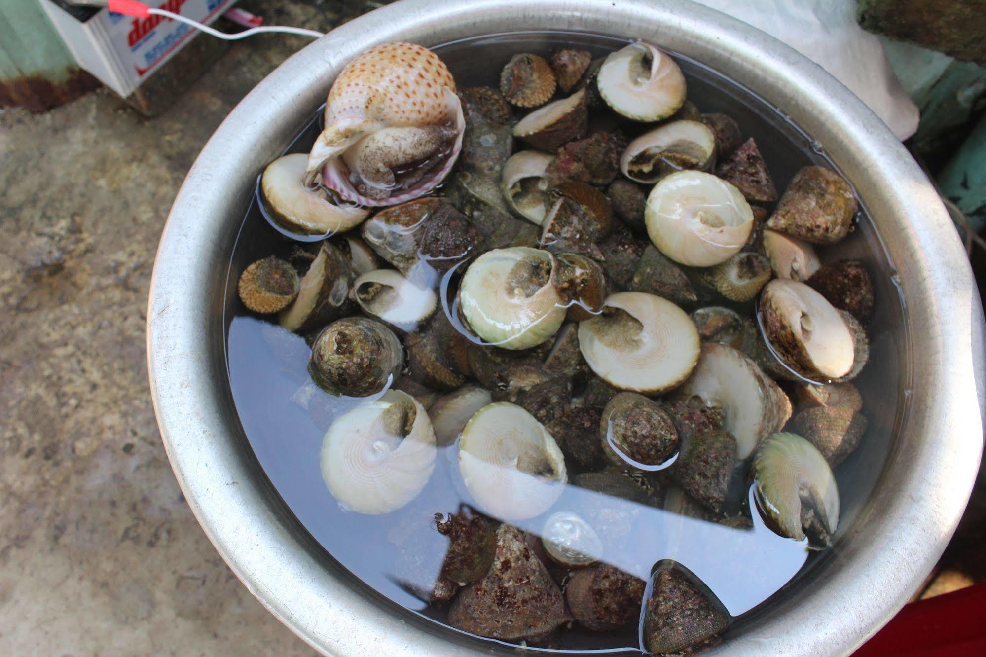 Homestay Bai Huong Cu Lao Cham