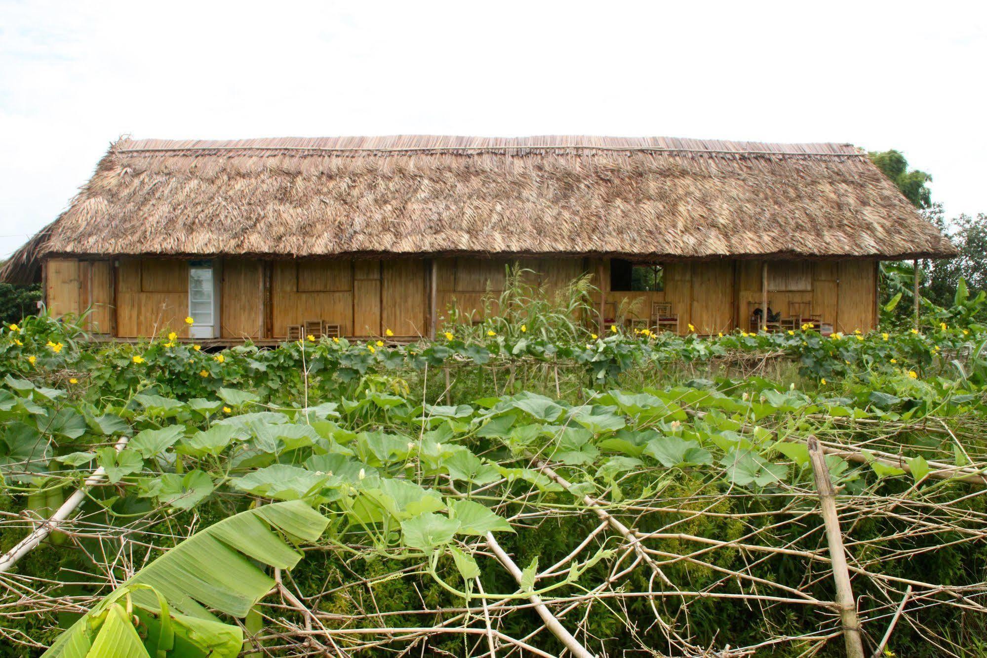 Nguyen Shack - Mekong Lodge *