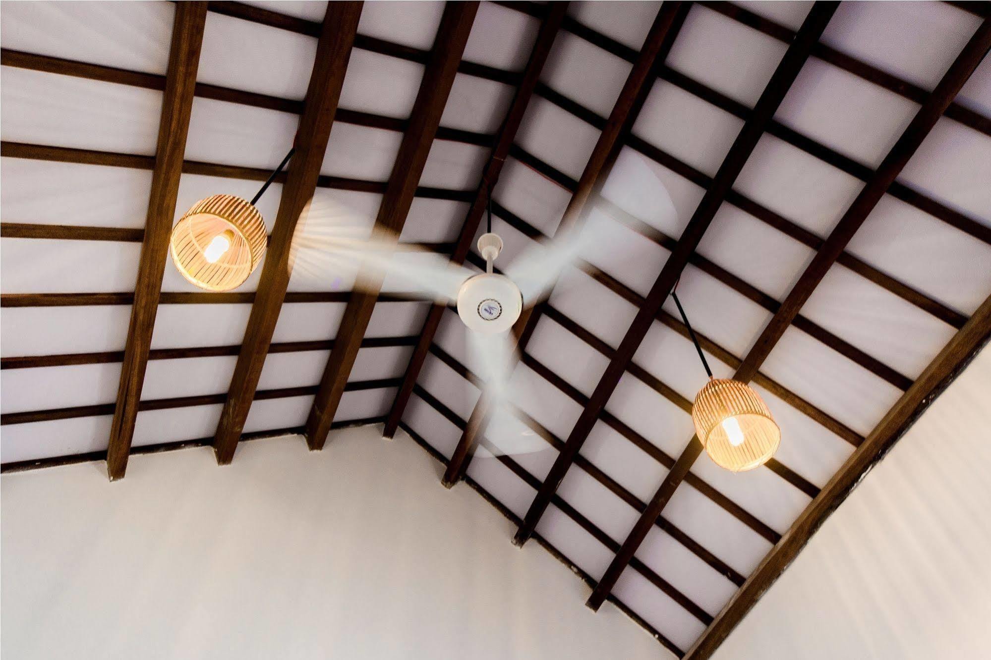 An Bang Vana Villas Homestay Hoi An