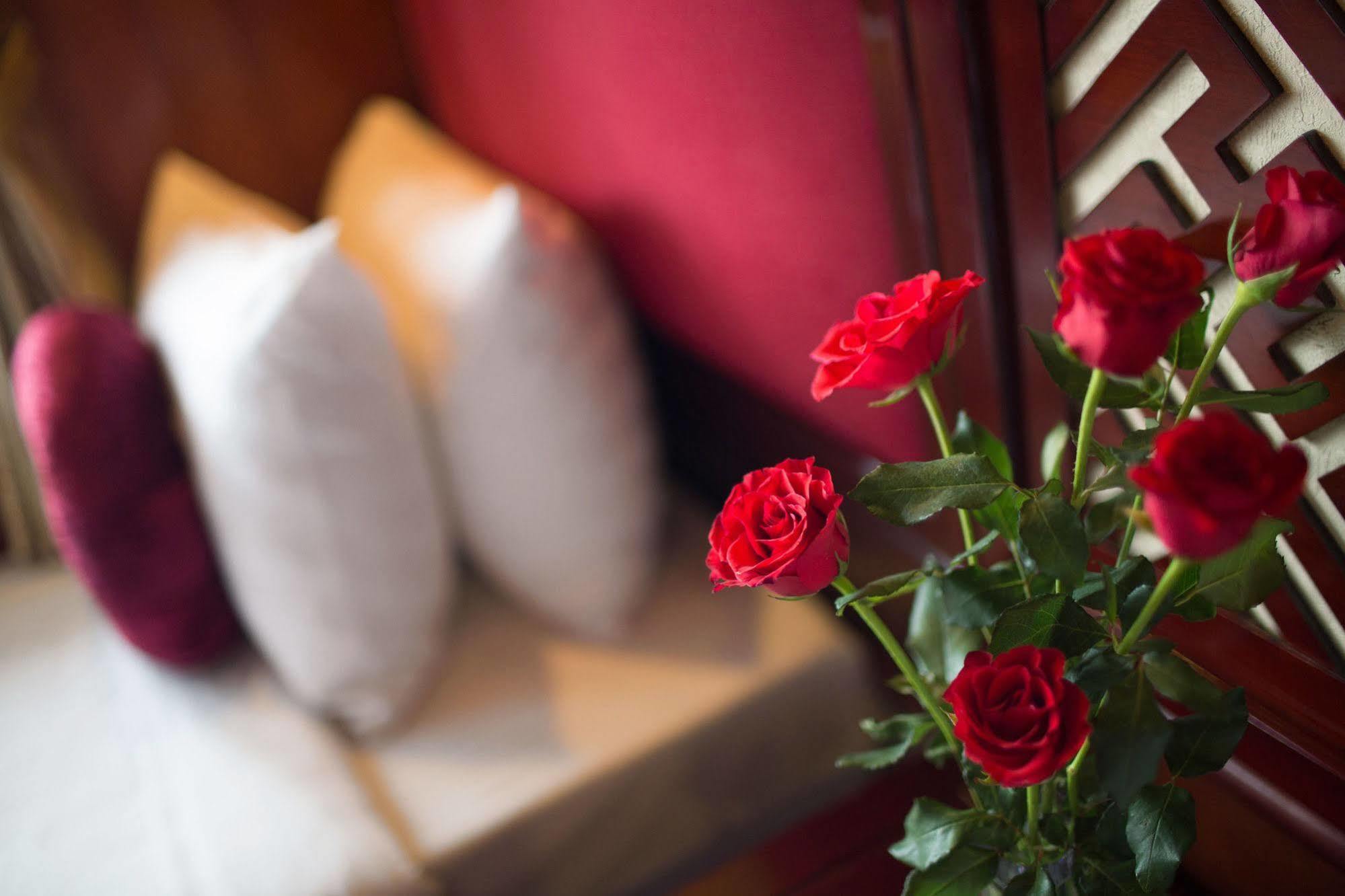 Rosa Cruise Halong 3*