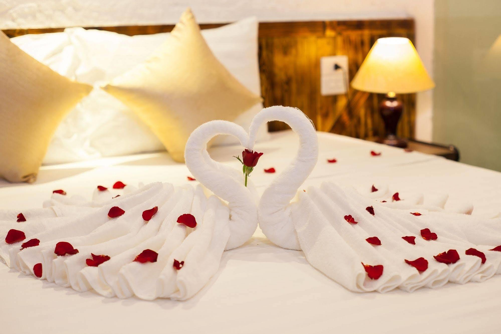 Luxury Backpakers Hotel 3*