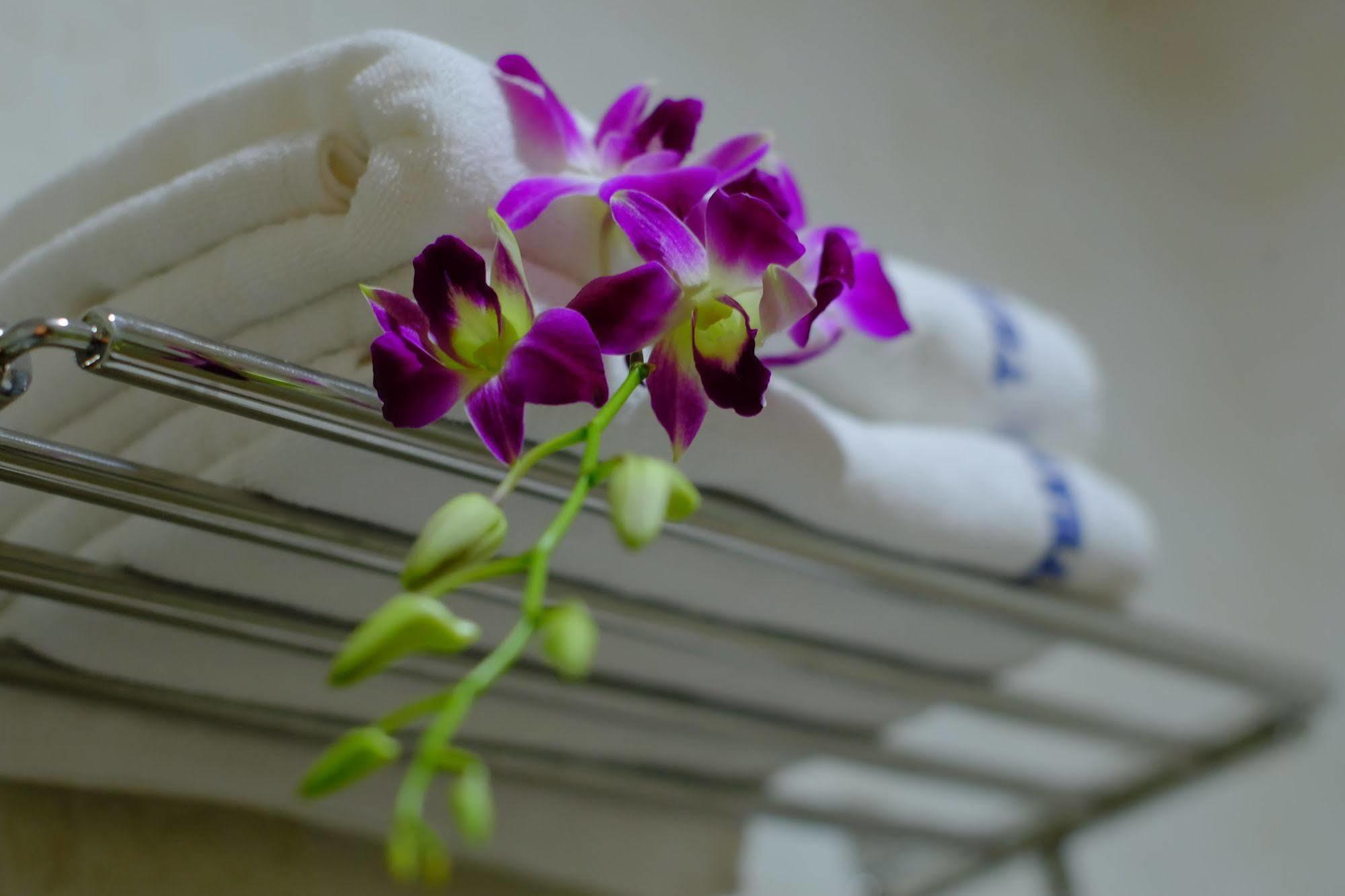 Hotel Thanh Hoang Chau Boutique Hotel 3*