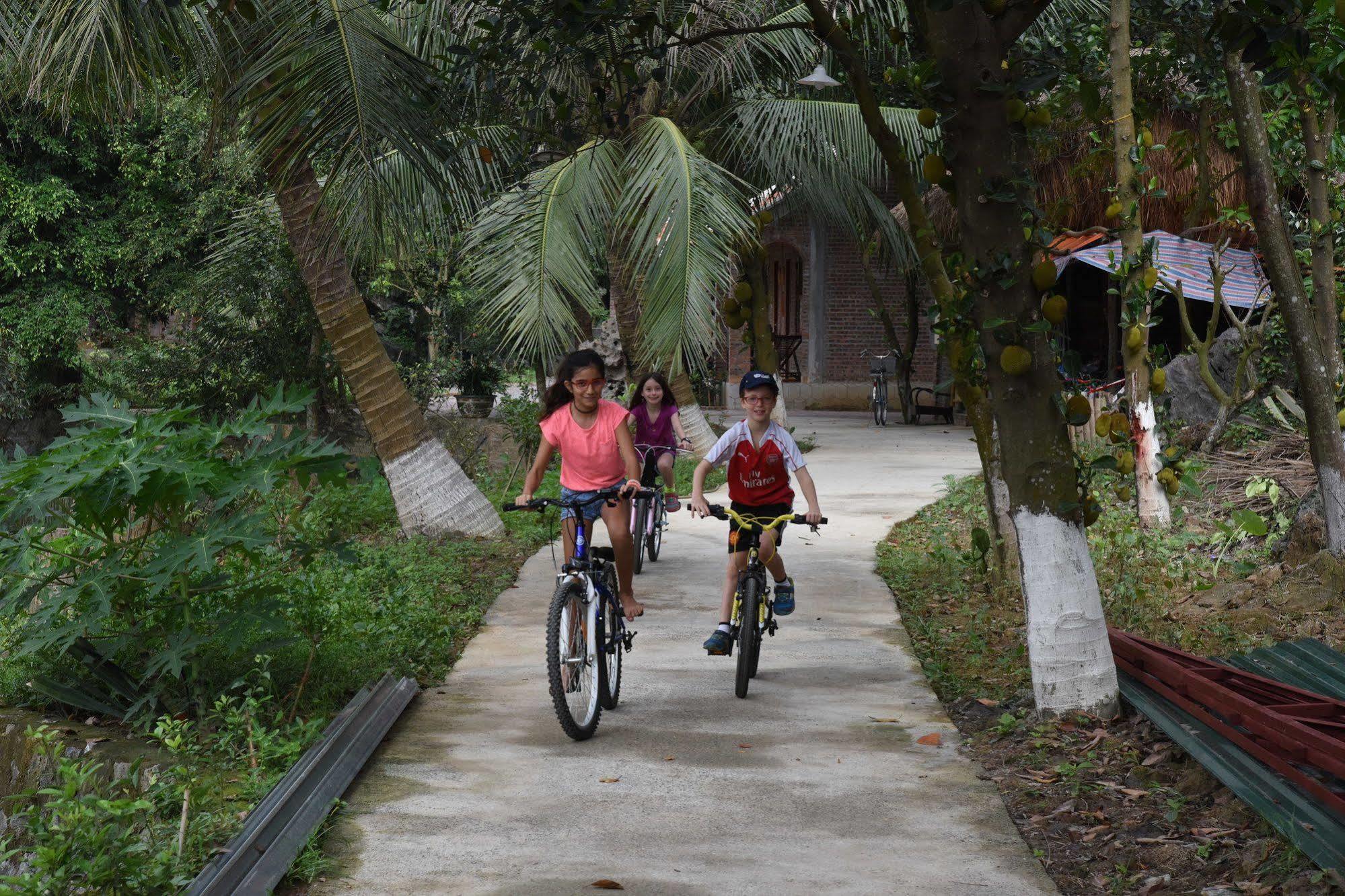 Hotel Buffalo Eco Garden Ninh Binh