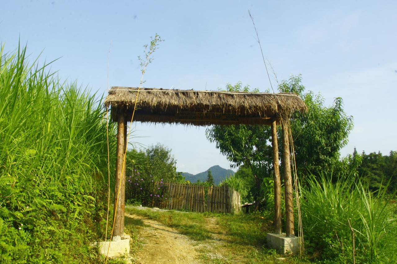 Homestay Ly Danh *
