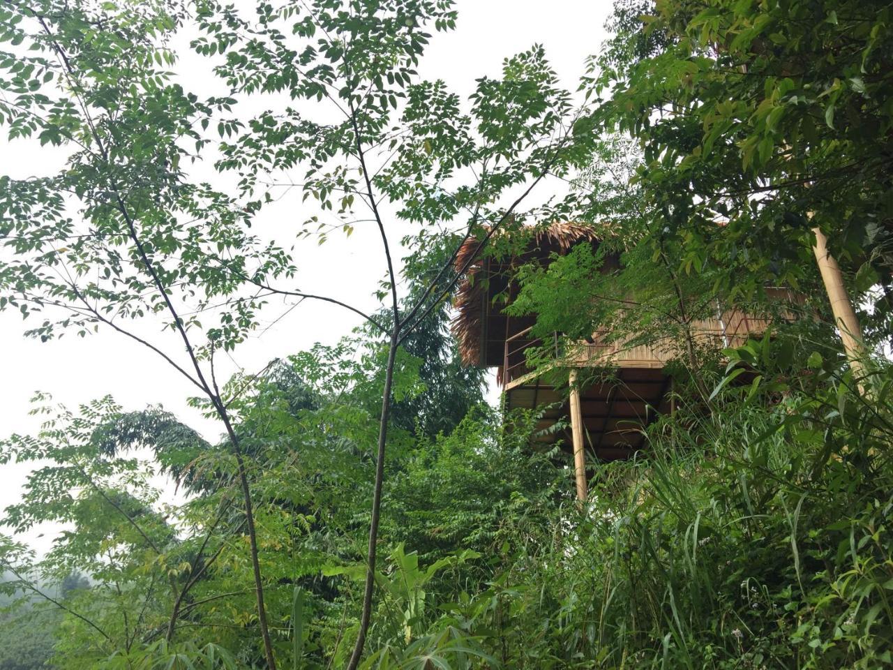 Eco Hills *
