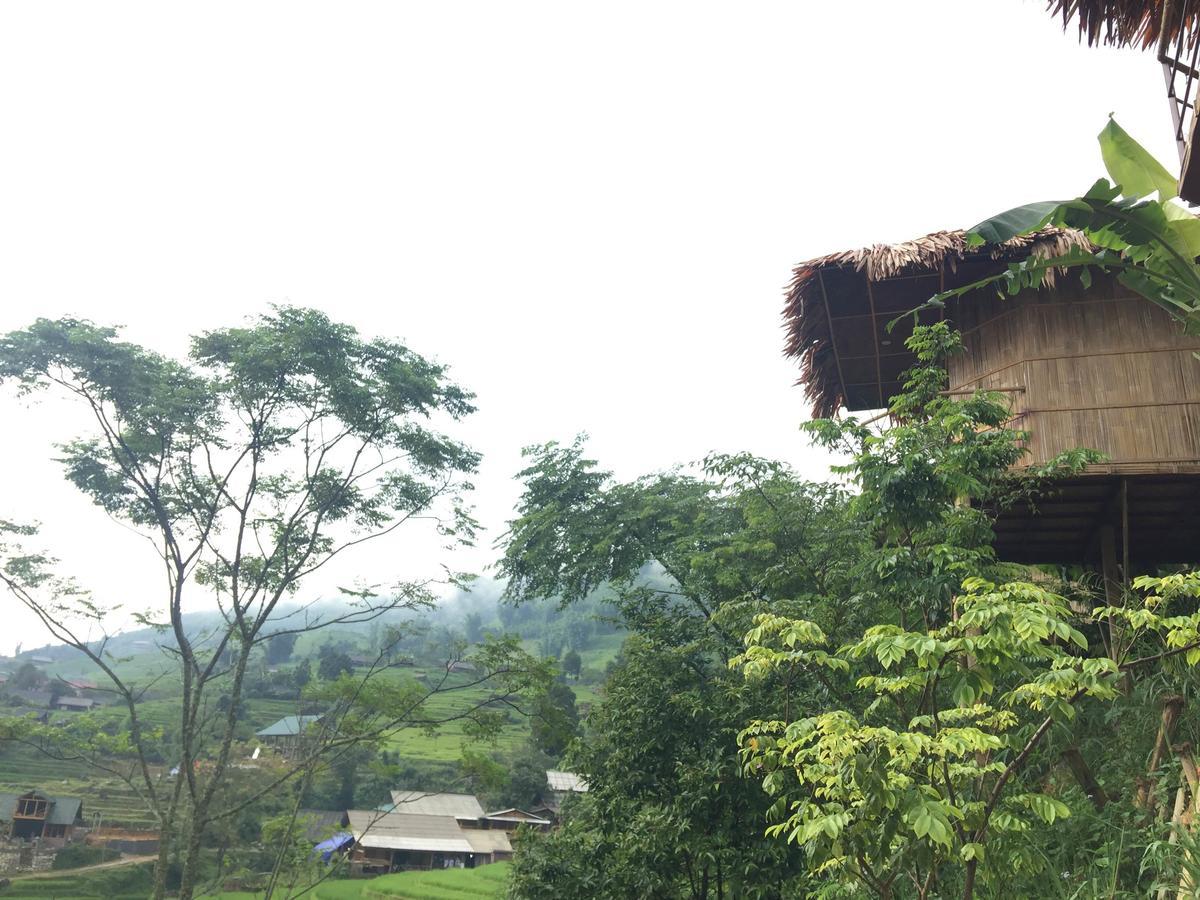 Eco Hills * Sapa