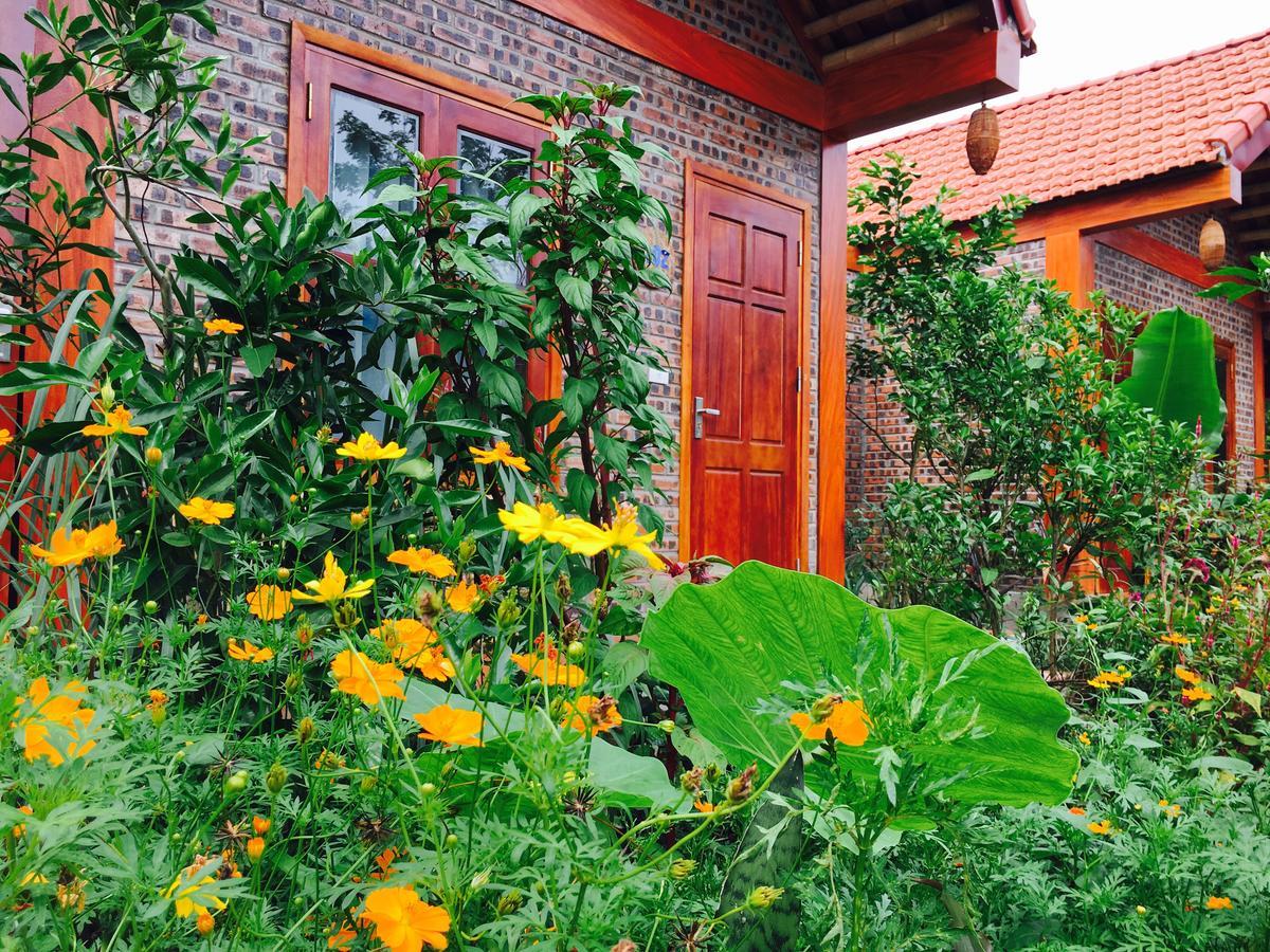 Tam Coc Friendly Homestay *