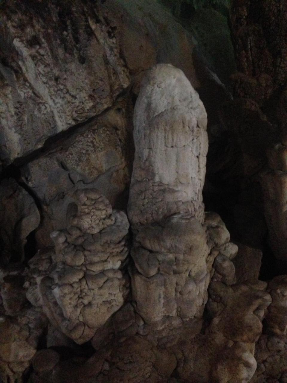 Nam Phương *