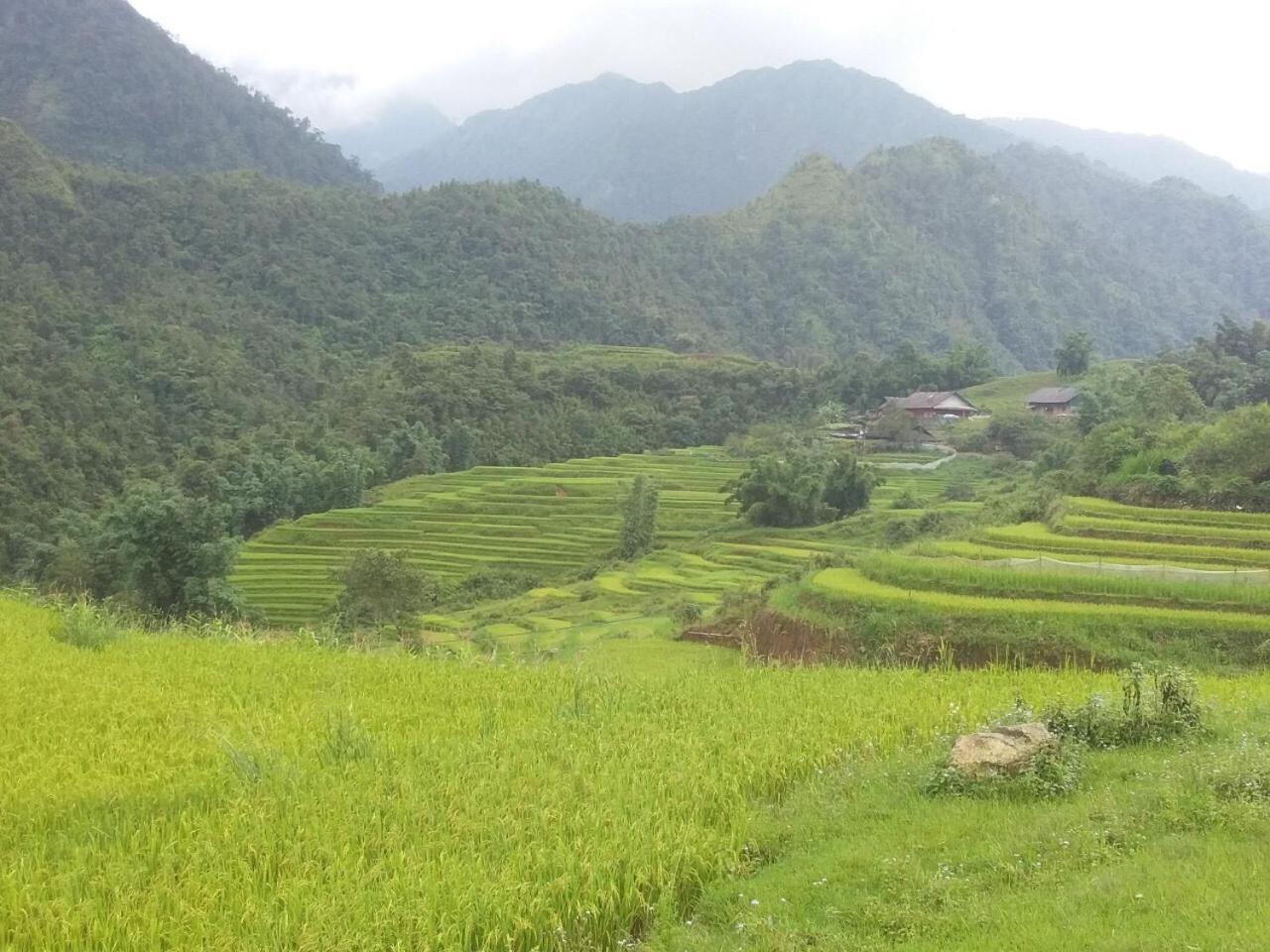 Chiende Homestay *