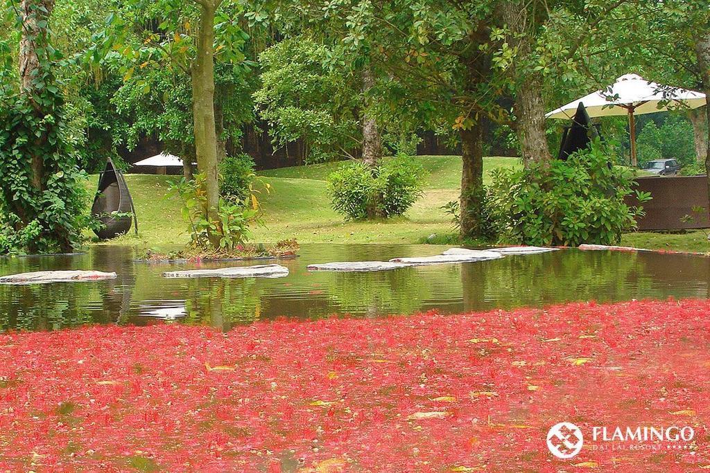 Flamingos Happy Bt Villa