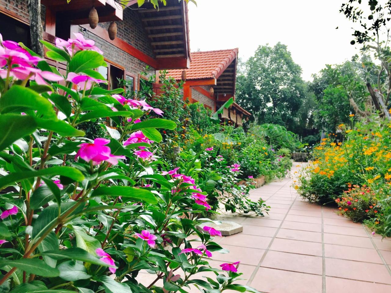 Tam Coc Friendly Homestay