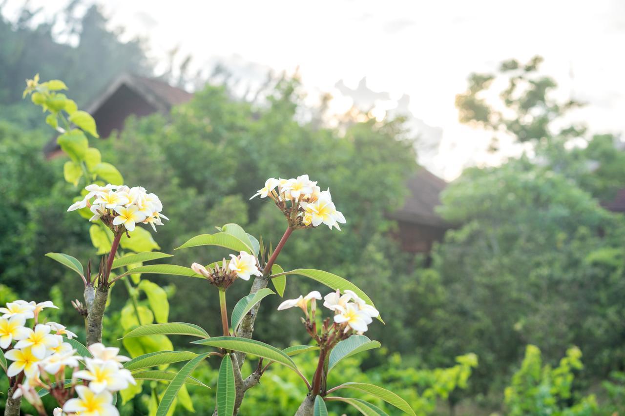 Quynh Vien