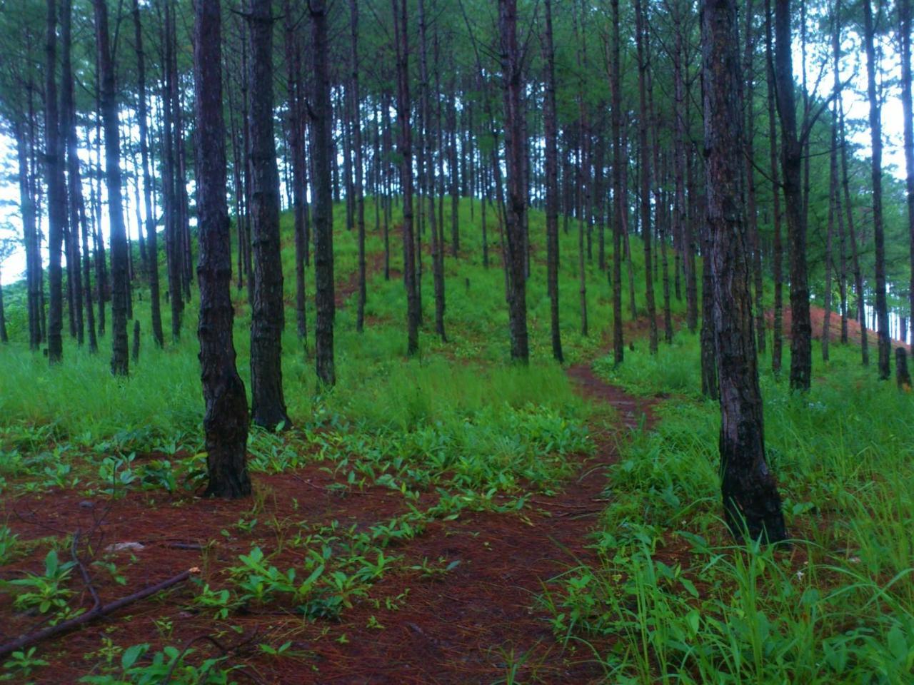 Farm stay Midori Coffee Farm *