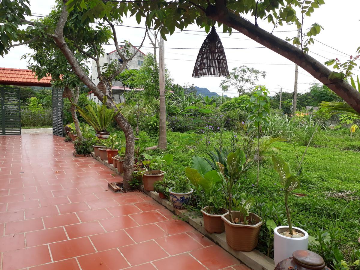 Bai Dinh Eco *