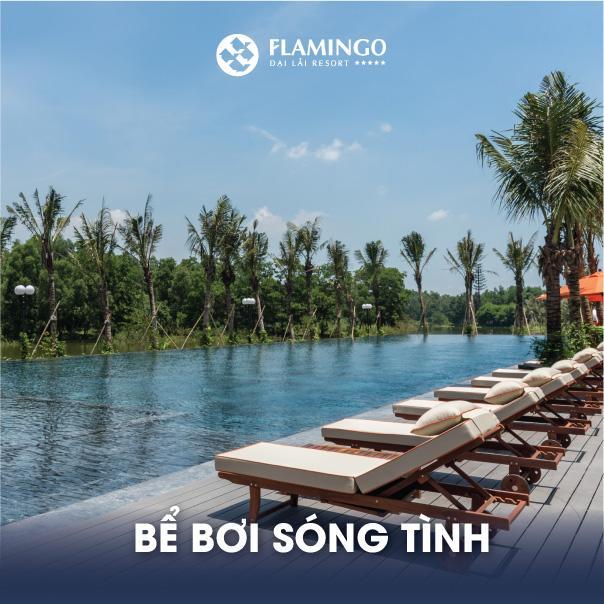 Flamingos Happy * Ngoc Quang