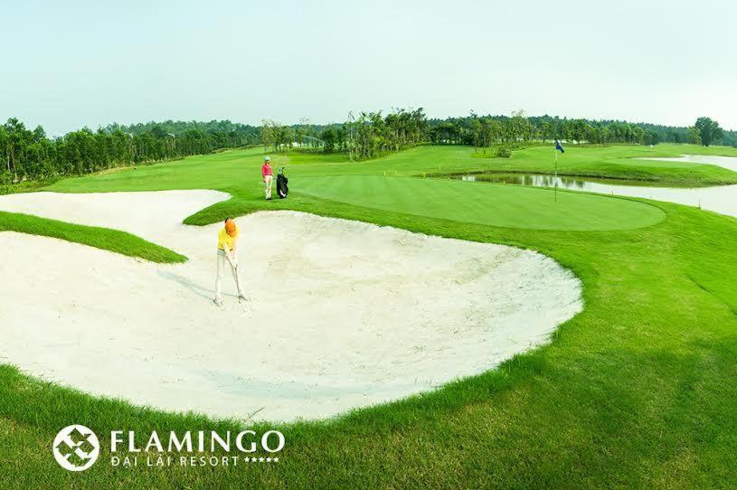 Villa Flamingos Happy Bt *