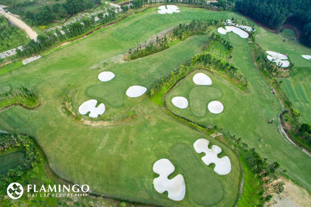 Flamingos Happy Bt * Ngoc Quang