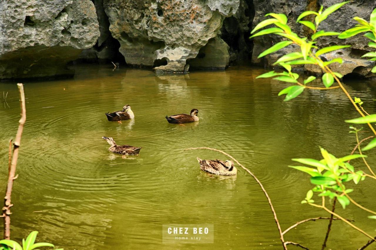 Chez Beo Ninh Binh