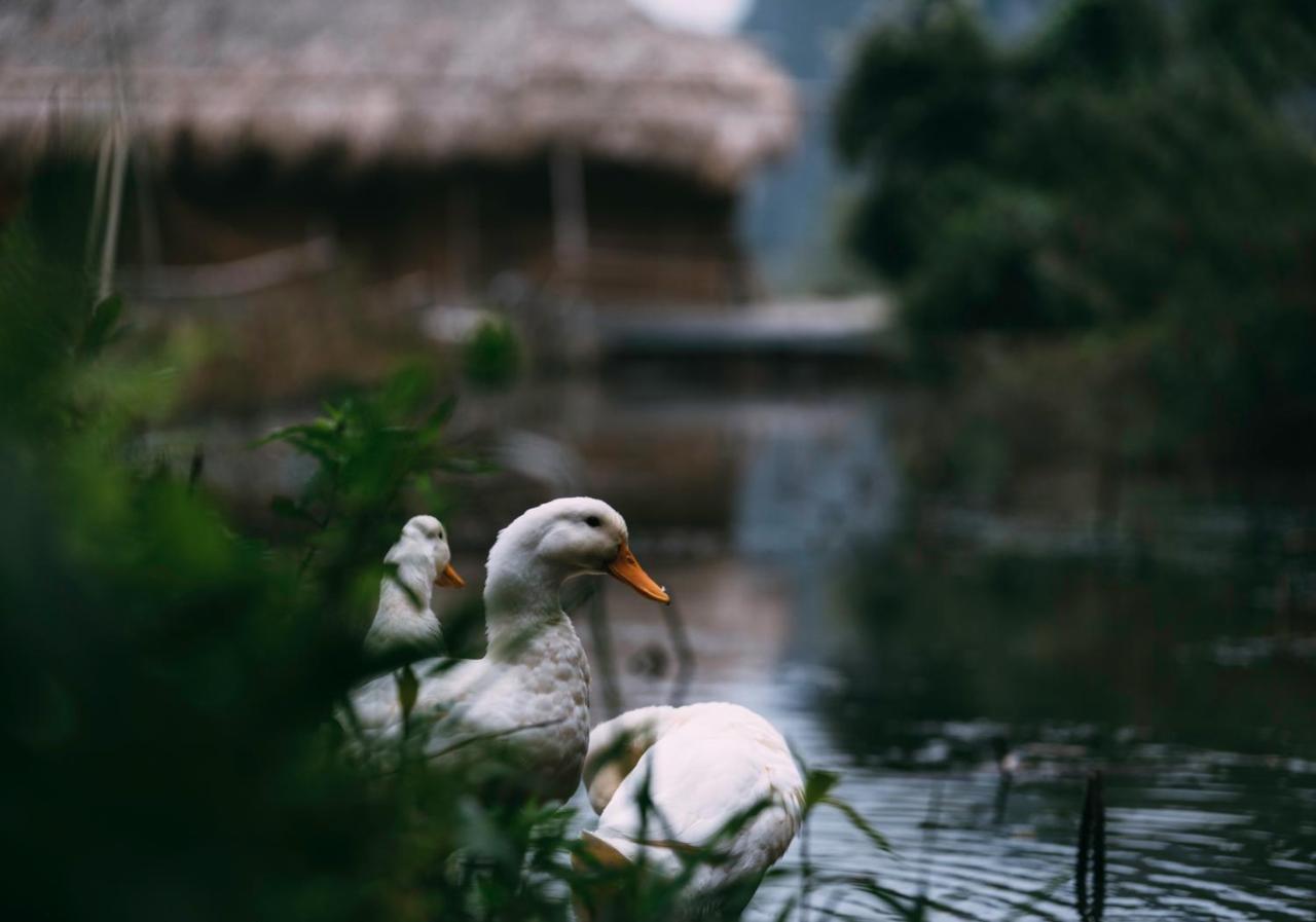 Privatunterkunft Chez Beo Ninh Binh