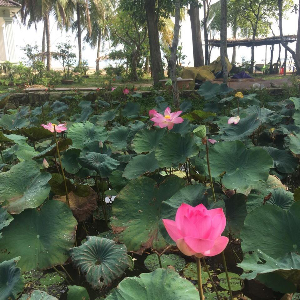 Luna Beach Guest house *