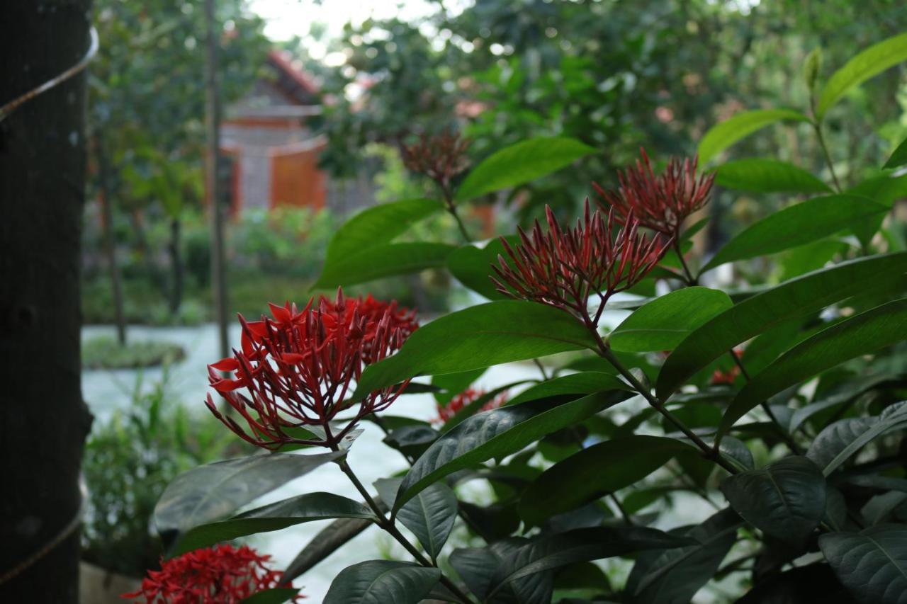 Homestay Tam Coc Thanh